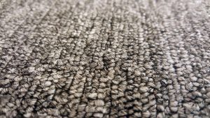 Carpet Blog